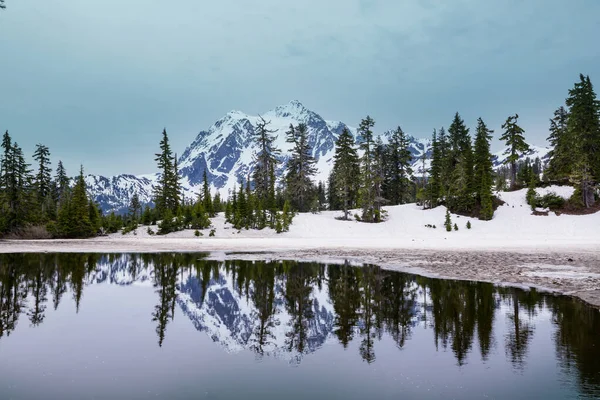 山の中の早春 レイニア山国立公園 ワシントン — ストック写真