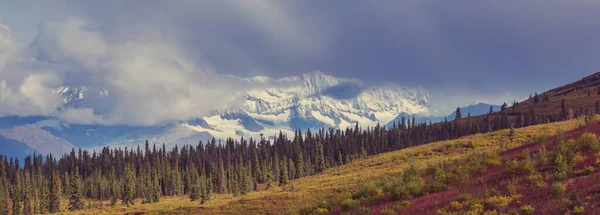 Pintorescas Montañas Alaska Verano Macizos Cubiertos Nieve Glaciares Picos Rocosos — Foto de Stock