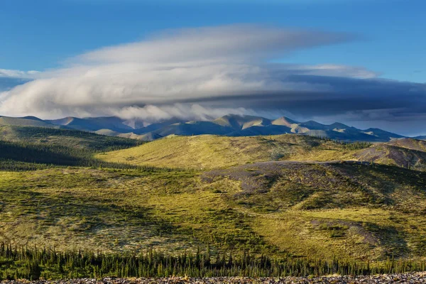 Tundra Landskap Ovanför Polcirkeln — Stockfoto