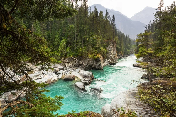 Beautiful Mountains River Summer Season Canada — 图库照片