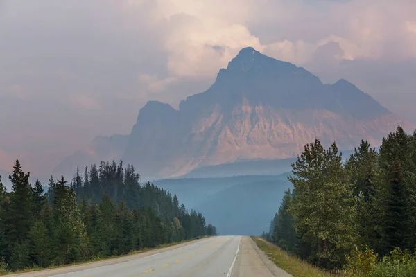Autostrada Kanadyjskim Lesie Sezonie Letnim — Zdjęcie stockowe