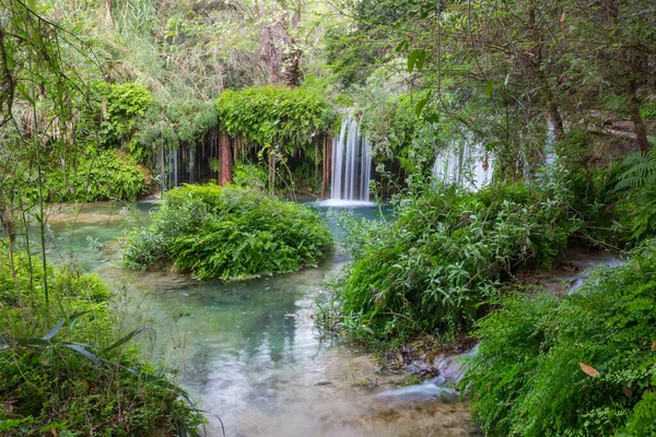 Gyönyörű Vízesés Dzsungelben Mexikó — Stock Fotó