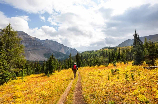 Чудовий Осінній Сезон Канадських Горах Падіння — стокове фото