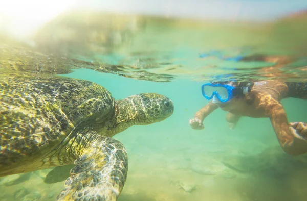 Αγόρι Που Κολυμπάει Μια Γιγάντια Θαλάσσια Χελώνα Στον Ωκεανό Στη — Φωτογραφία Αρχείου