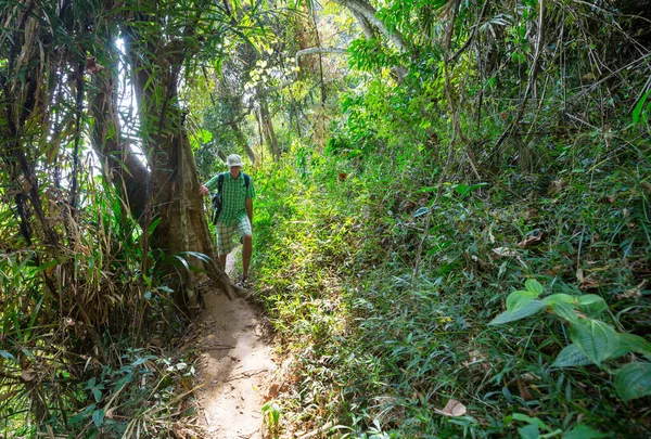 Sri Lanka Ormanda Yürüyüş — Stok fotoğraf