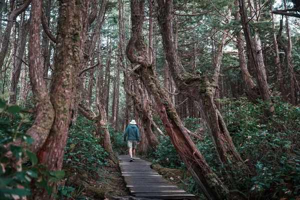 Homem Caminhando Baía Trilha Floresta Natureza Lazer Caminhada Viajar Livre — Fotografia de Stock
