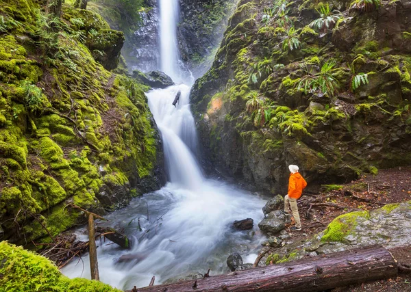 Hiker Beautiful Waterfall Canadian Mountains — Stock Photo, Image