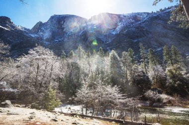 Yosemite Ulusal Parkı 'nda bahar sezonunda yürüyüş, Kaliforniya, ABD