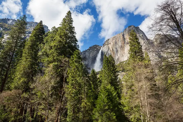 Randonneur Dans Parc National Yosemite Printemps Californie États Unis — Photo