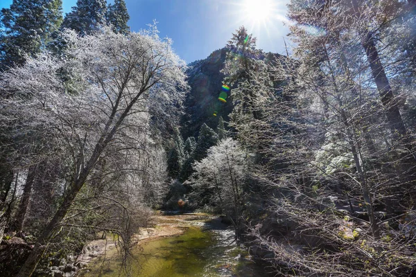 Escursionista Nel Parco Nazionale Dello Yosemite Nella Stagione Primaverile California — Foto Stock