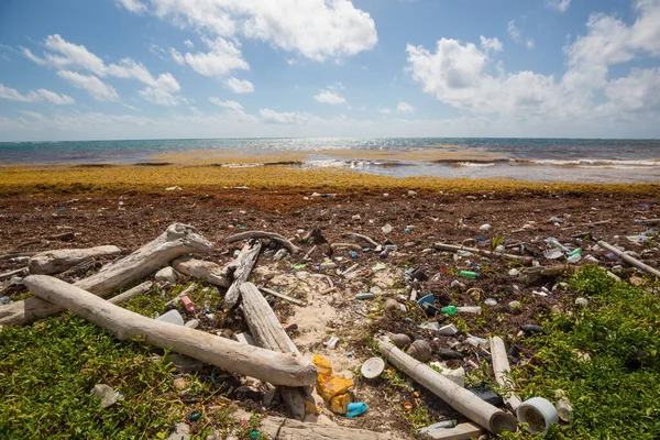Ecological Concept Beach Pollution Trash Sea Beach — Stock Photo, Image