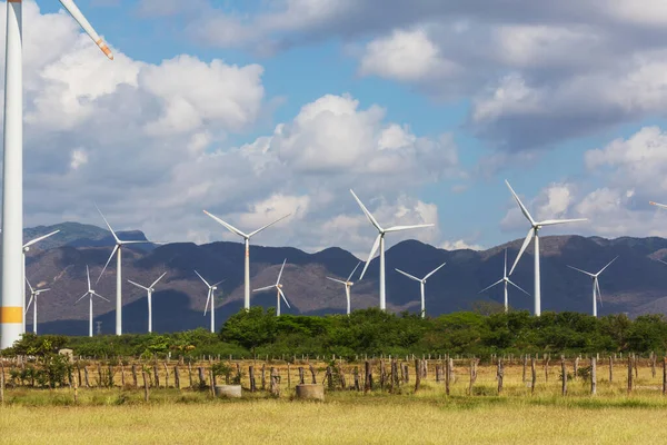 Windmills Rural Landscapes — Stock Photo, Image