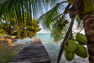 Meksika 'daki Bacalar Gölü