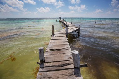 Tropikal sahilde sahil yürüyüşü