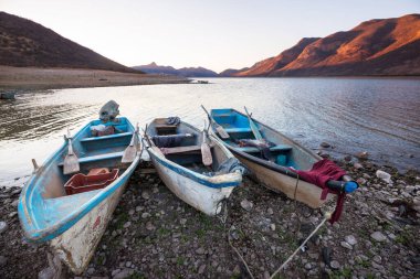 Meksika 'daki balıkçı tekneleri.