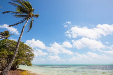 Tropikal sahildeki güzel yaz manzaraları. Tatil arkaplanı.