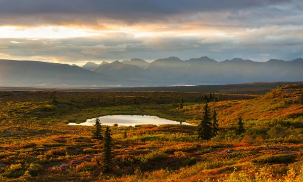 Tundra Landscapes Arctic Circle Autumn Season Beautiful Natural Background — Stock Photo, Image