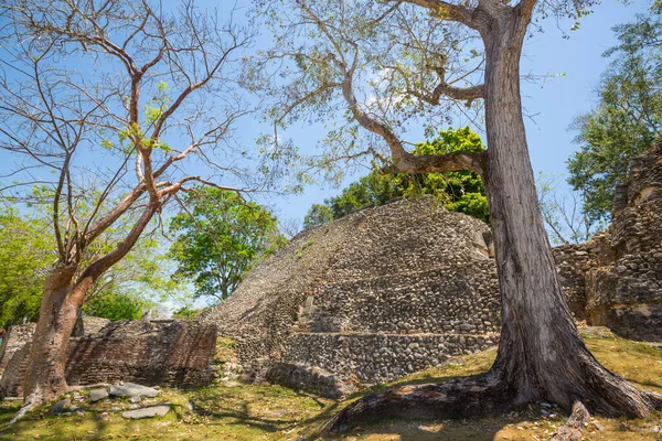 Xunantunich Ruinas Mayas Belice — Foto de Stock