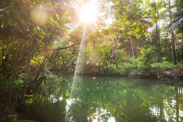 Όμορφα Τροπικά Τοπία Ποτάμι Στη Ζούγκλα — Φωτογραφία Αρχείου