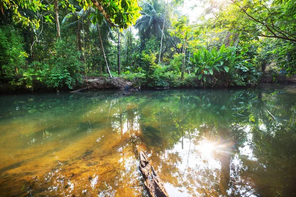 Gyönyörű Trópusi Tájak Folyó Dzsungelben — Stock Fotó