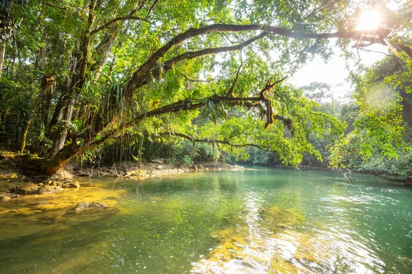 Vakker Tropisk Landskap Elv Jungel – stockfoto
