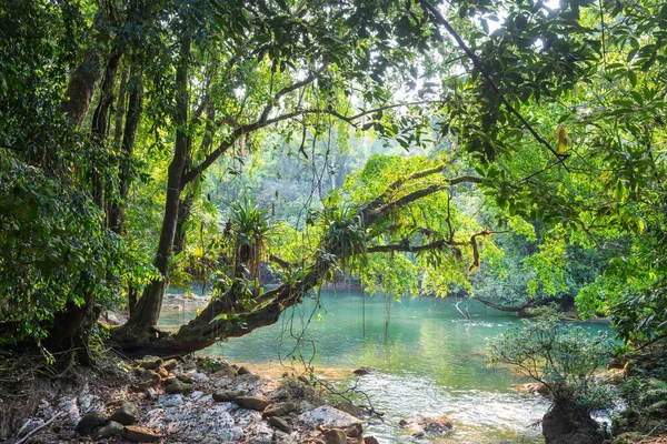 Красивые Тропические Пейзажи Река Джунглях — стоковое фото