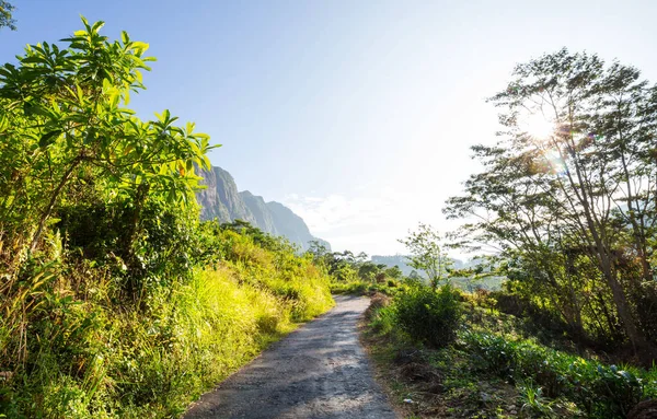 Tuk Tuk Fährt Auf Einer Straße Zwischen Grünen Bäumen Wald — Stockfoto