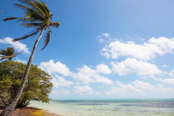 Tropikal Sahildeki Güzel Yaz Manzaraları Tatil Arkaplanı — Stok fotoğraf