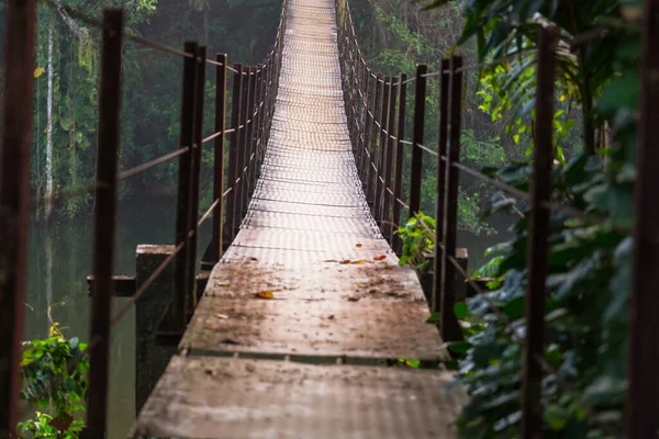 Felfüggesztés Híd Dzsungelben Srí Lanka — Stock Fotó