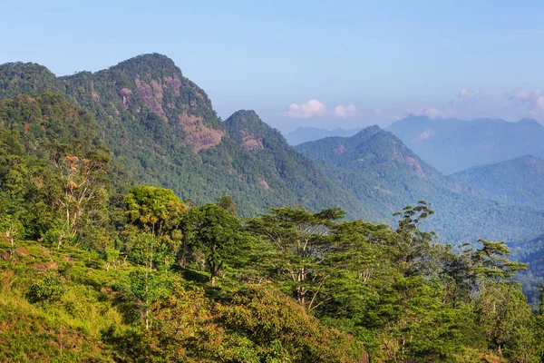 Bellissimi Paesaggi Naturali Verdi Nelle Montagne Dello Sri Lanka — Foto Stock
