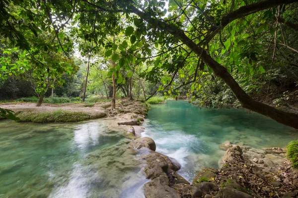 Indah Lanskap Tropis Sungai Hutan — Stok Foto