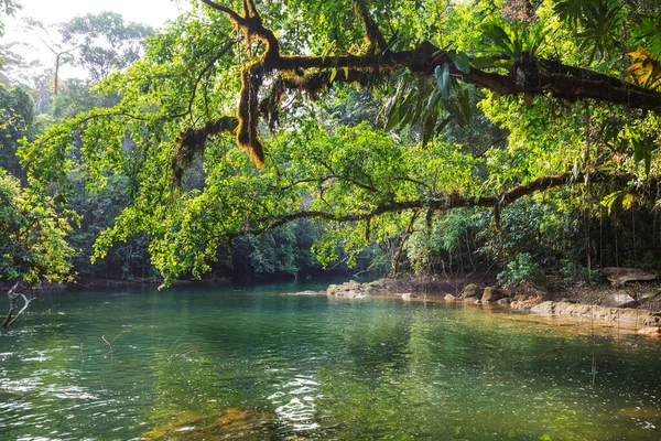 Όμορφα Τροπικά Τοπία Ποτάμι Στη Ζούγκλα — Φωτογραφία Αρχείου