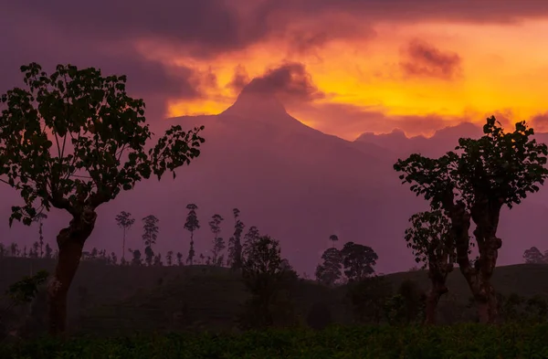 Όμορφα Φυσικά Τοπία Στη Σρι Λάνκα Στο Ηλιοβασίλεμα — Φωτογραφία Αρχείου
