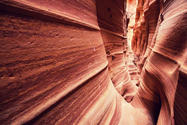 グランド ステアケース エスカランテ国立公園 ユタ州 アメリカ ユタ州の砂漠で珍しいカラフルな砂岩がハイカーに人気の目的地です — ストック写真