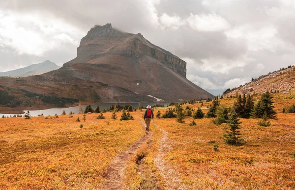 Wandersmann Den Kanadischen Bergen Wandern Ist Die Beliebteste Freizeitbeschäftigung Nordamerika — Stockfoto