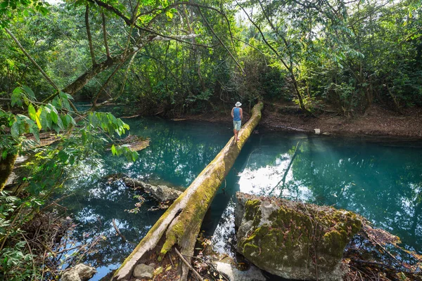 Güzel Tropikal Manzaralar Ormandaki Nehir — Stok fotoğraf