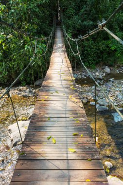 Tropikal ormanda asma köprü