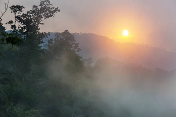 Красивые Тропические Пейзажи Гондураса Зеленые Горы Джунглях — стоковое фото