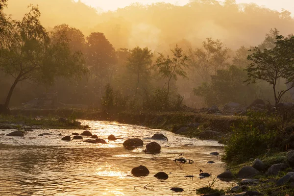Όμορφο Ποτάμι Στο Ομιχλώδες Πρωινό — Φωτογραφία Αρχείου