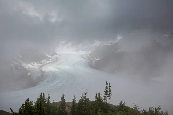 Ледник Лосося Стюарте Канада — стоковое фото
