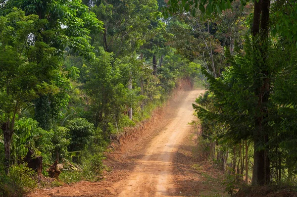 Plattelandsweg Honduras — Stockfoto