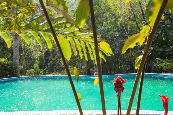 Piscina Selva Honduras — Foto de Stock