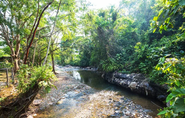 Тропическая Река Зеленых Джунглях — стоковое фото