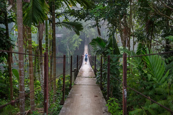 Ormanda Asma Köprü Sri Lanka — Stok fotoğraf
