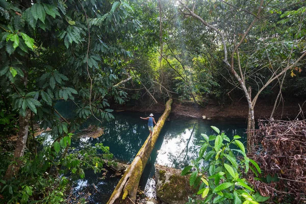 Yeşil Ormandaki Tropikal Nehirdeki Adam — Stok fotoğraf