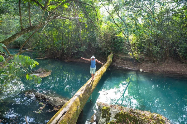 Yeşil Ormandaki Tropikal Nehirdeki Adam — Stok fotoğraf