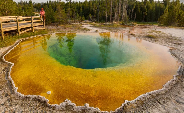 Colorido Morning Glory Pool Famosa Fonte Termal Parque Nacional Yellowstone — Fotografia de Stock