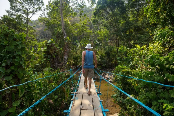 Tropikal Ormanda Asma Köprüdeki Turist Honduras — Stok fotoğraf