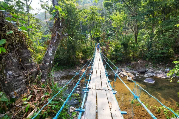 Tourist Auf Der Hängebrücke Tropischen Dschungel Von Honduras — Stockfoto