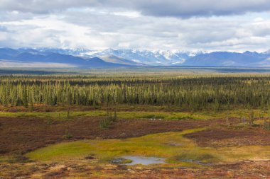Kutup dairesinin üstündeki Tundra manzaraları